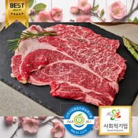 나주한우 등심 300g 
