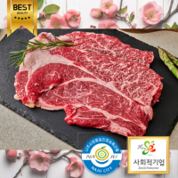 나주한우 등심+국거리 선물세트