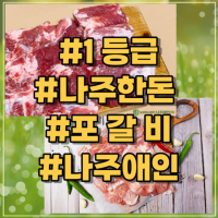 나주한돈 수제포갈비 100g 