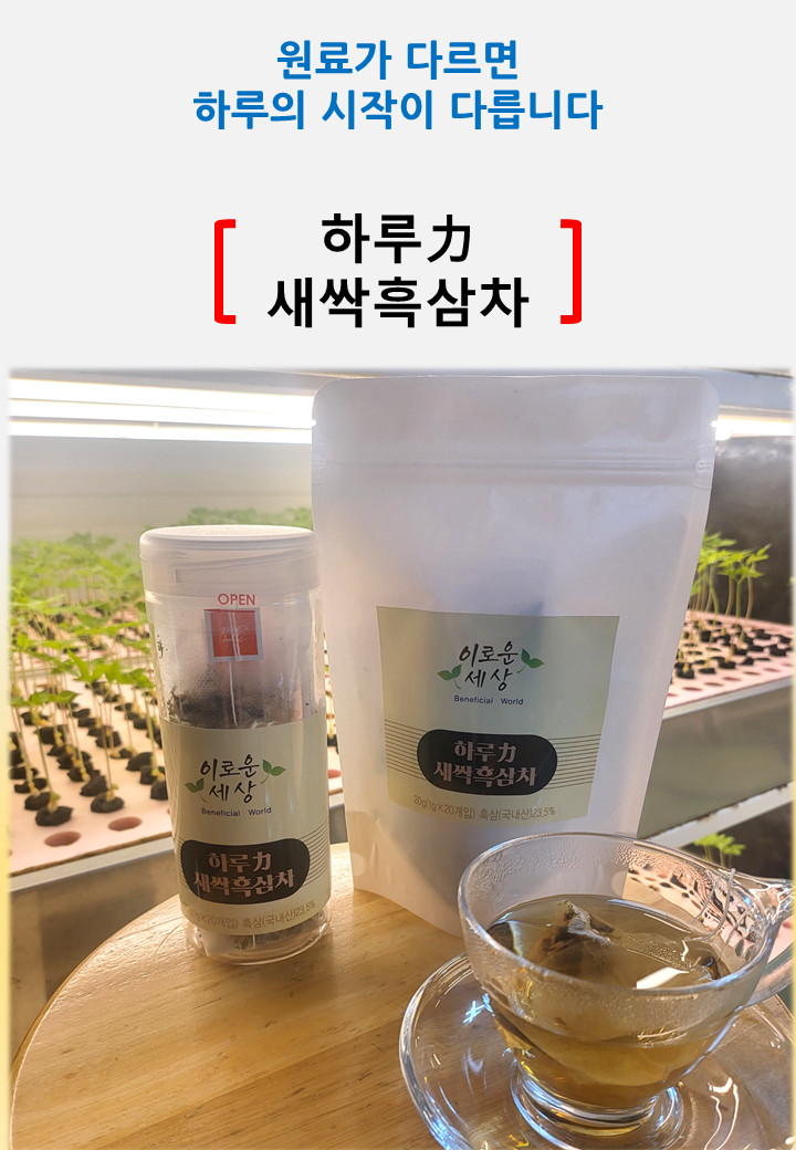 새싹흑삼차 티백차