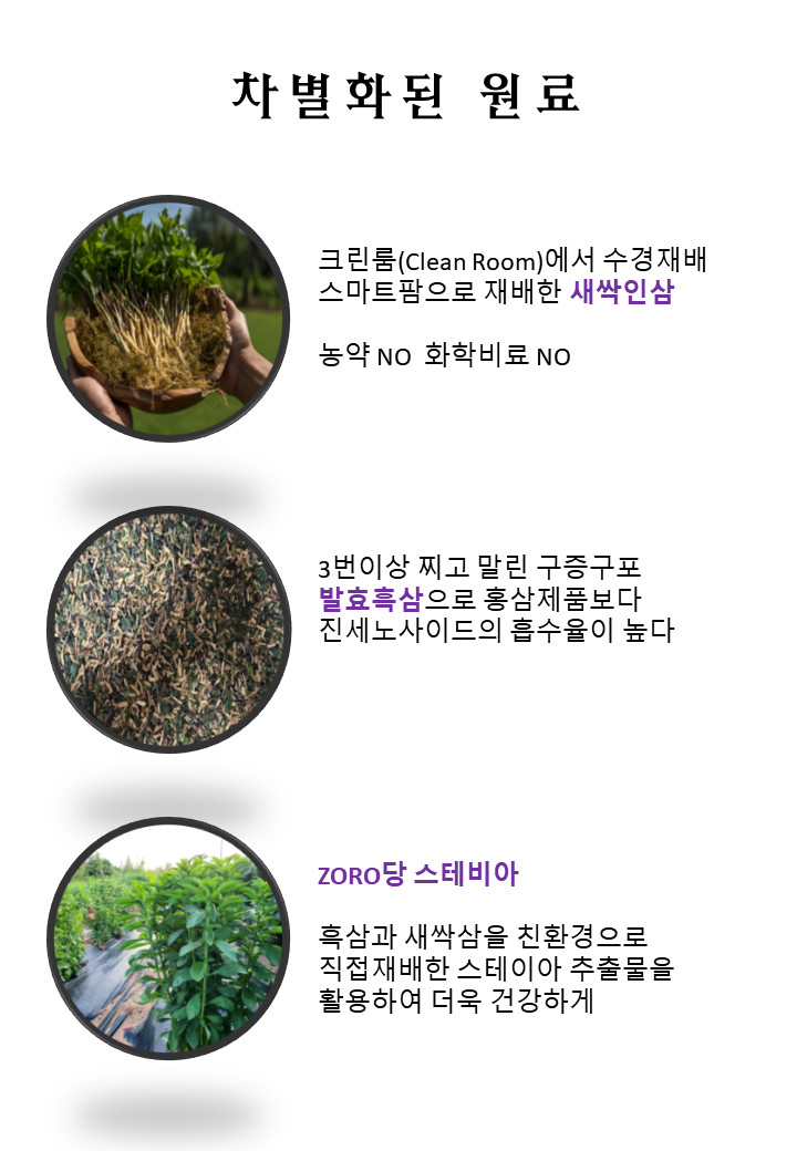 새싹흑삼차 티백차