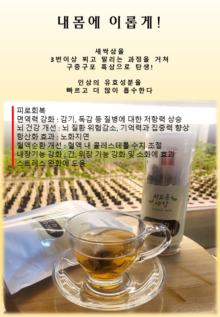 새싹흑삼차 티백차