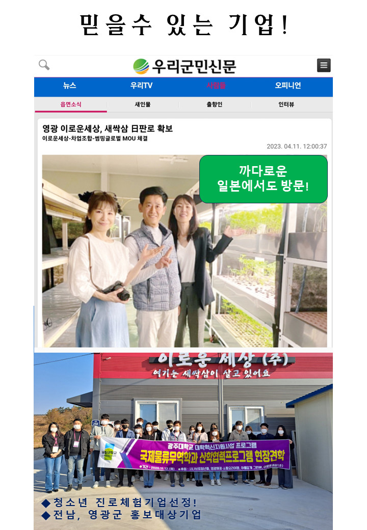 새싹흑삼차 티백차