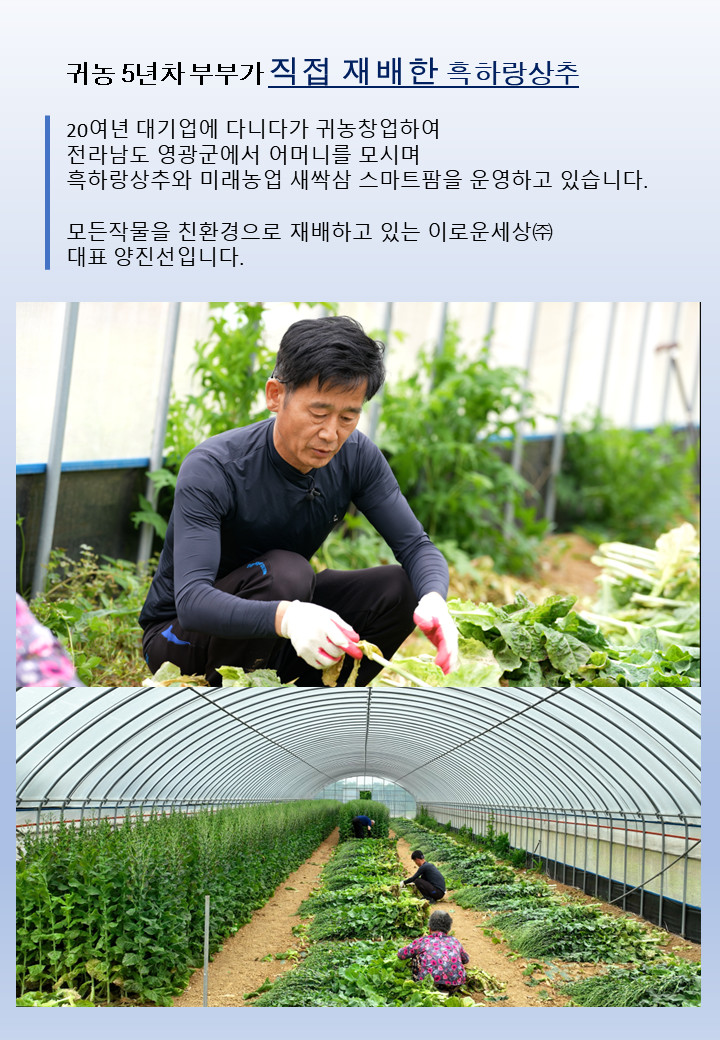 잠잘오는차 흑하랑꿀잠차 락투신골드 분말