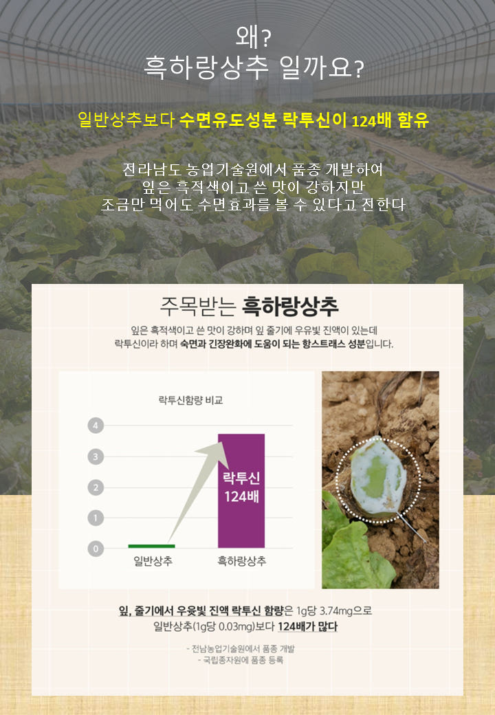 잠잘오는차 흑하랑꿀잠차 락투신골드 분말