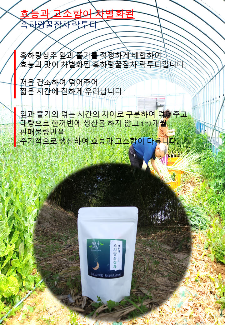 잠잘오는차 흑하랑꿀잠차 락투티 티백차 