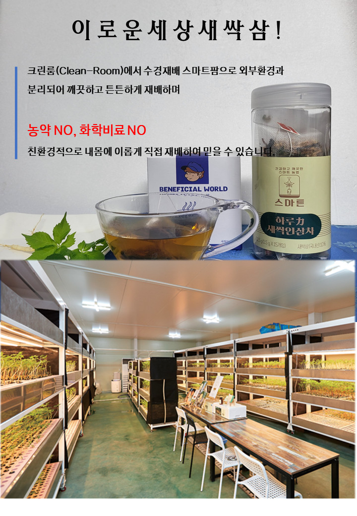 이로운세상 티세트 티백차 선물세트