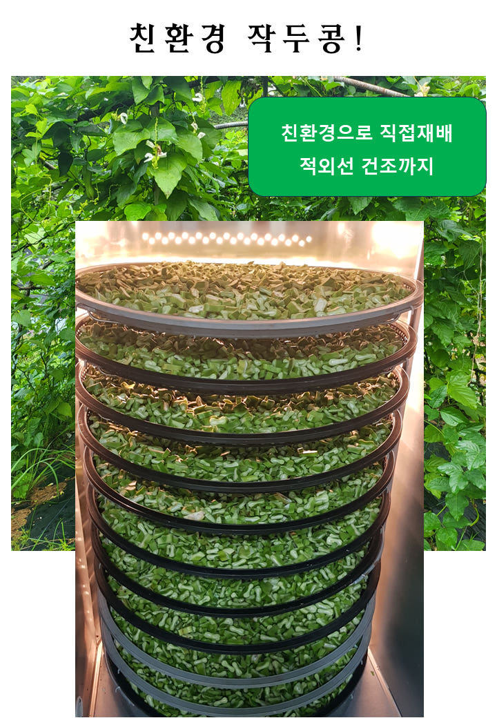 이로운세상 티세트 티백차 선물세트