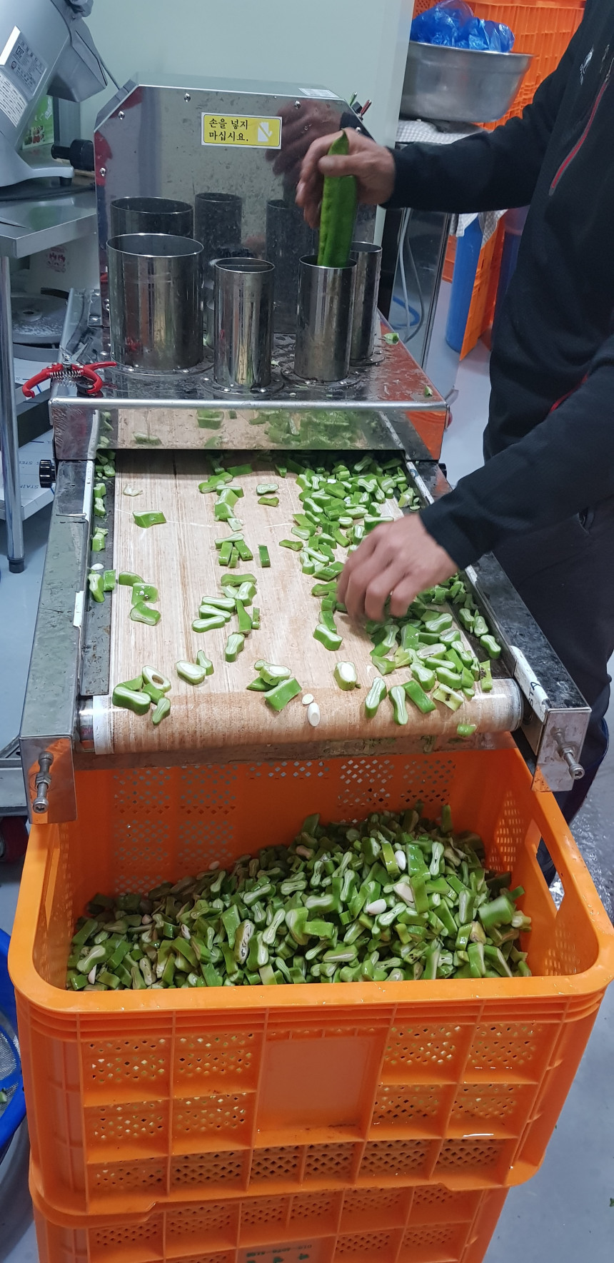 볶은 작두콩깍지차 120g