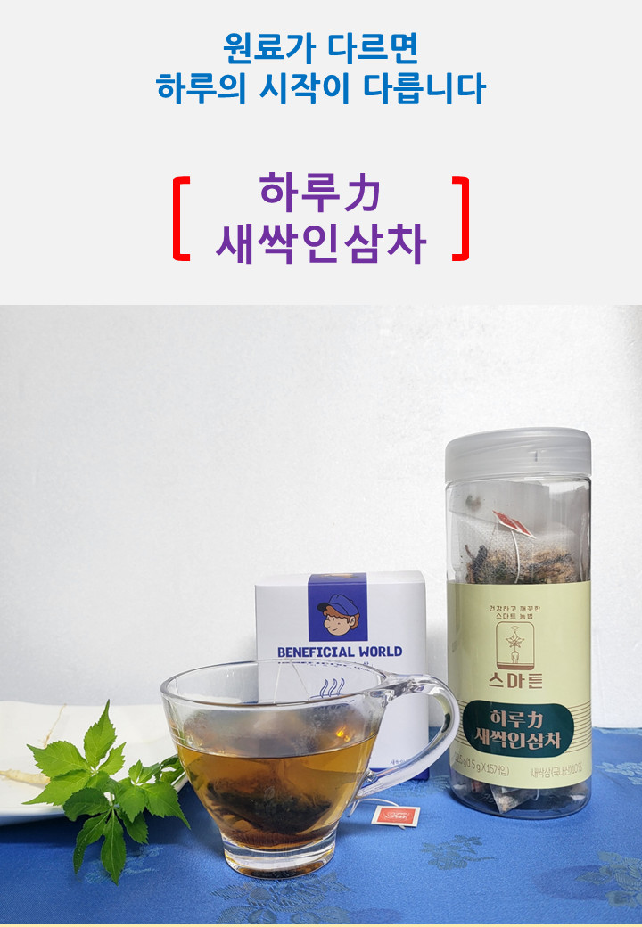새싹인삼차 티백차