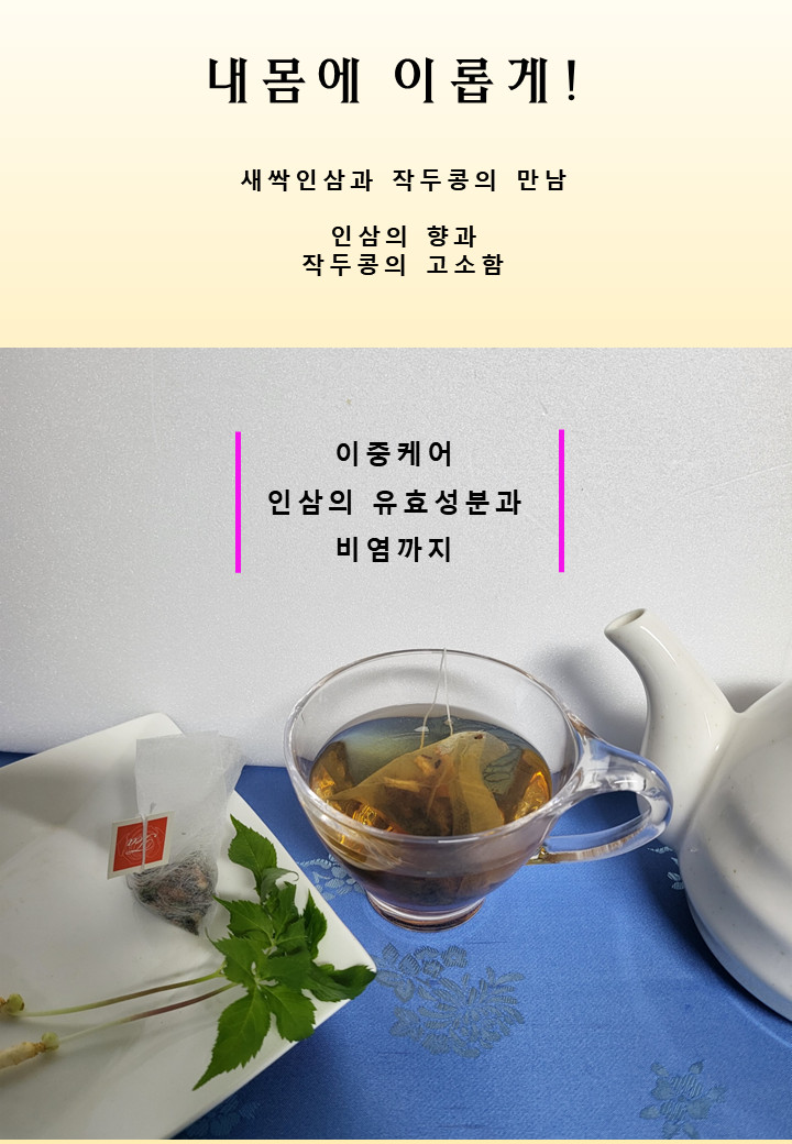 새싹인삼차 티백차