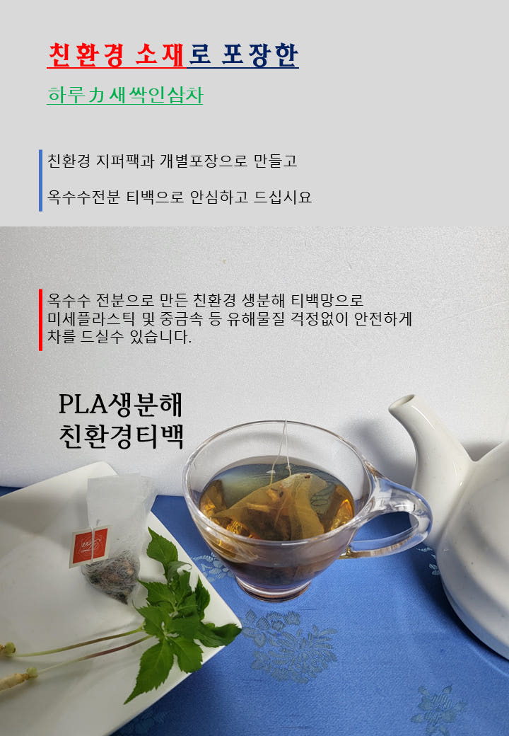 새싹인삼차 티백차 10입